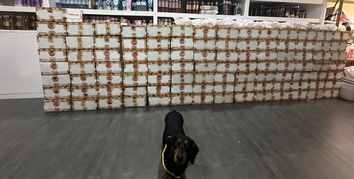 Chel B. packed order ready to ship